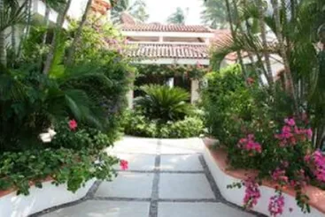 Professional lawn care service for year-round maintenance across Tampa, FL - Nutrilawn