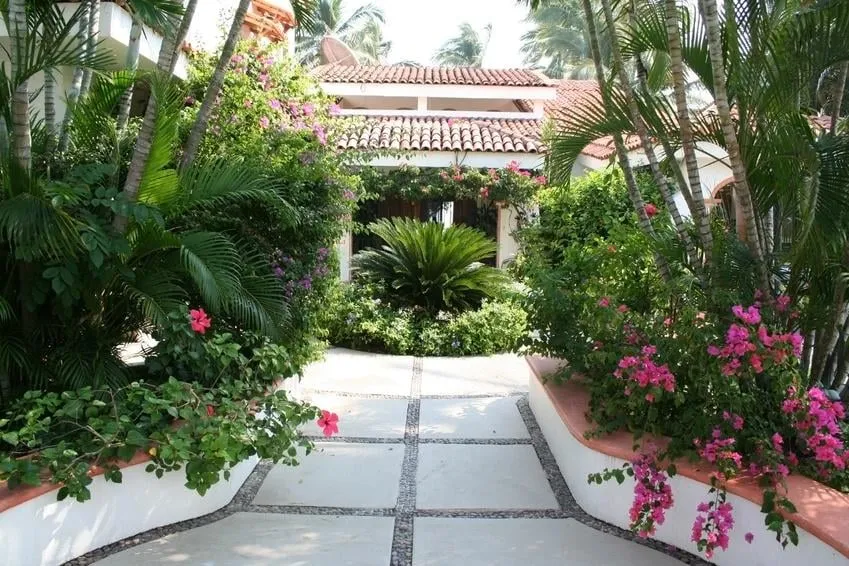 Top-rated yard cleanup service in Tampa, FL by Nutrilawn