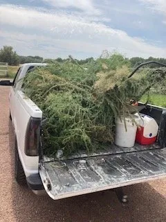 Reliable landscaping services in Albuquerque, NM - Nutt