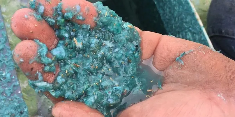 Top-rated yard maintenance experts serving Jarrell, TX - NuTurf Hydromulch Company