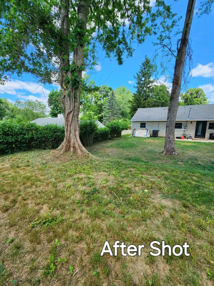 Professional garden landscaping experts serving Willingboro, NJ - Nuwave Lawn Care