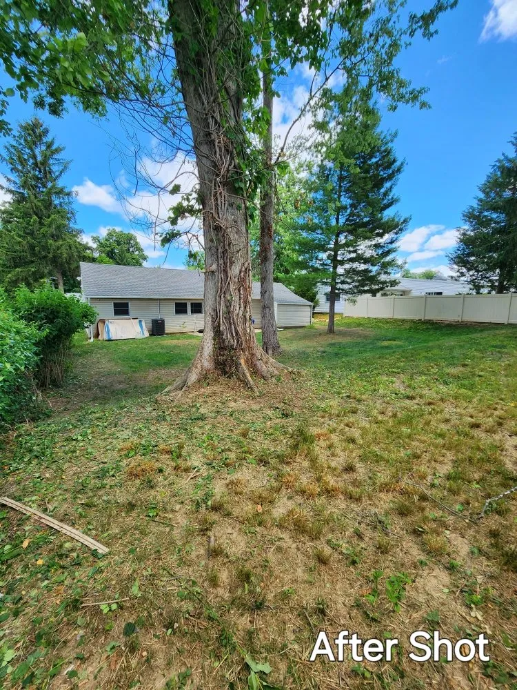 Trusted landscape installation for beautiful yards in Willingboro, NJ by Nuwave Lawn Care