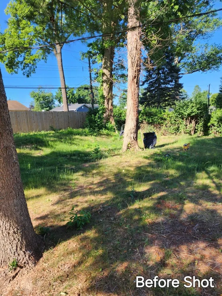 Trusted outdoor landscaping in Willingboro, NJ - Nuwave Lawn Care