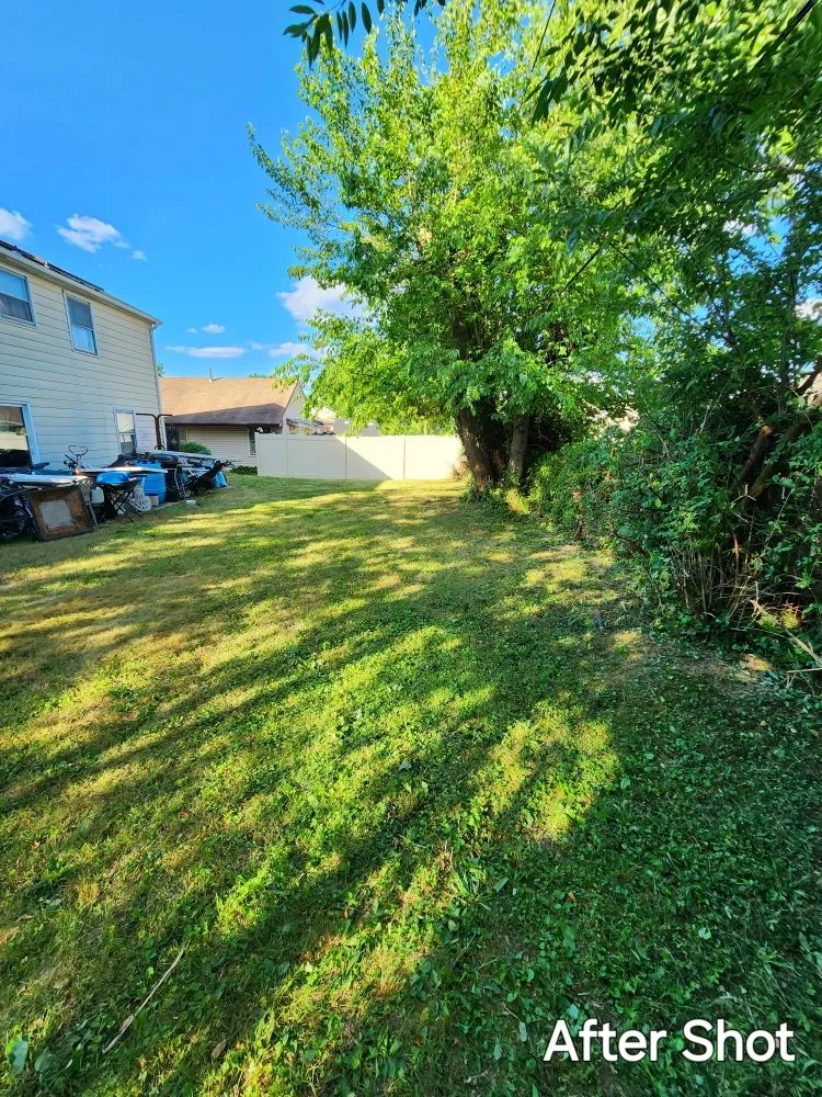 Trusted yard maintenance for residential properties across Willingboro, NJ - Nuwave Lawn Care