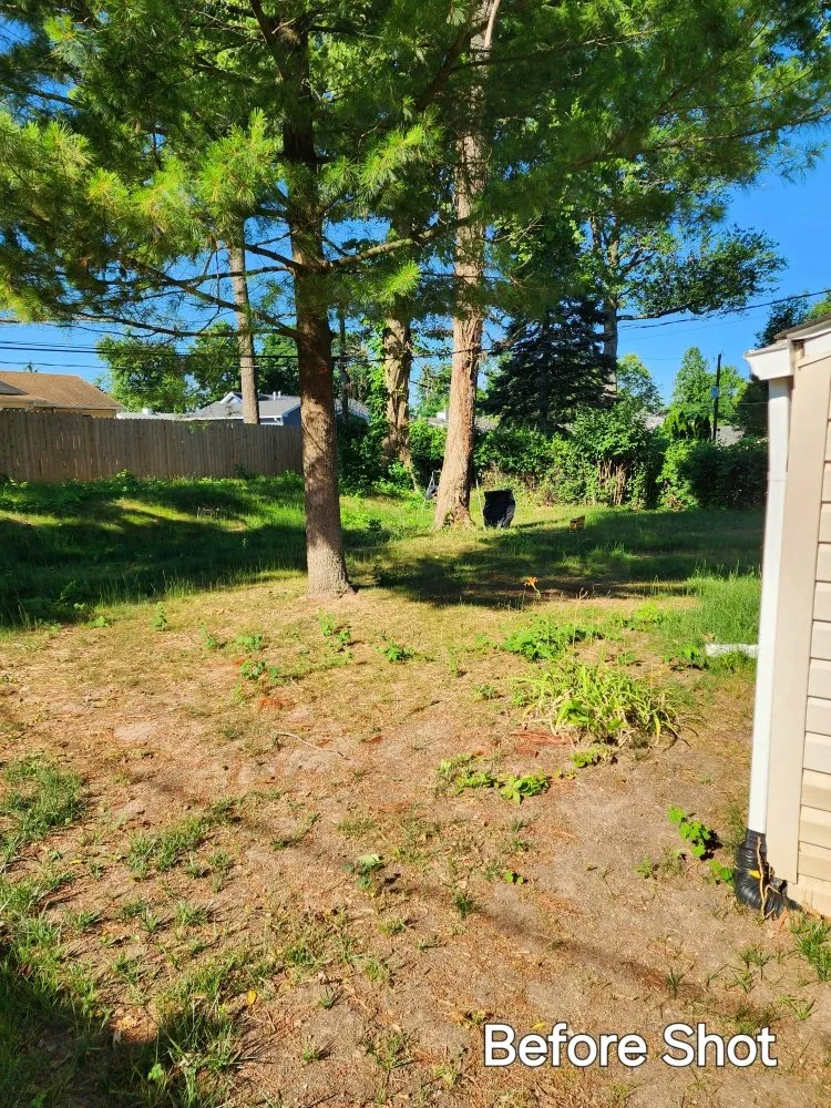 Professional landscaping services in Willingboro, NJ - Nuwave Lawn Care