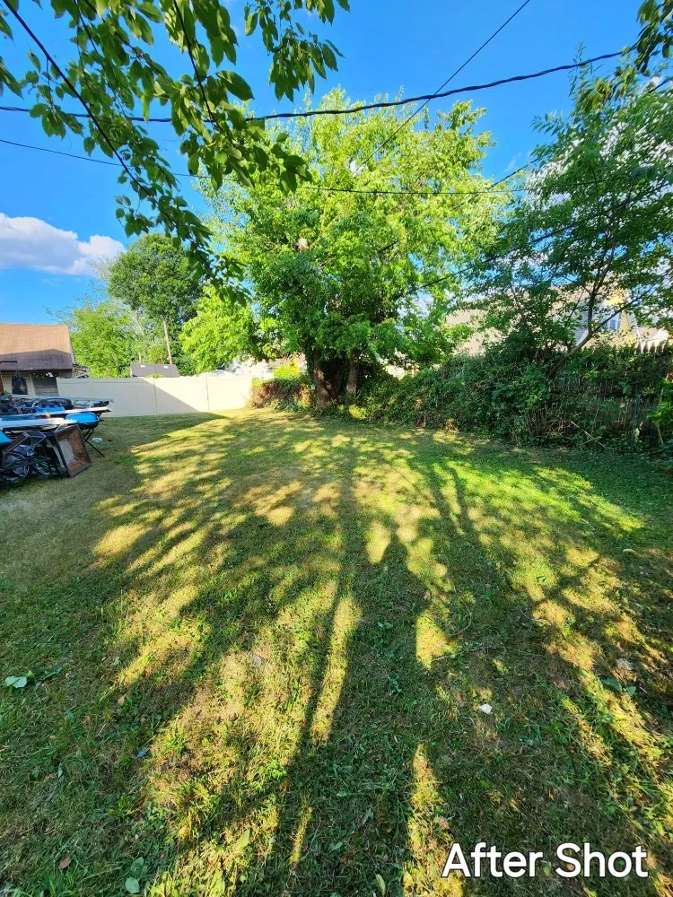 Custom yard maintenance experts serving Willingboro, NJ - Nuwave Lawn Care