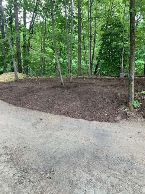 Custom residential landscaping for outdoor upgrades across Locust Grove, VA - NV Construction Services