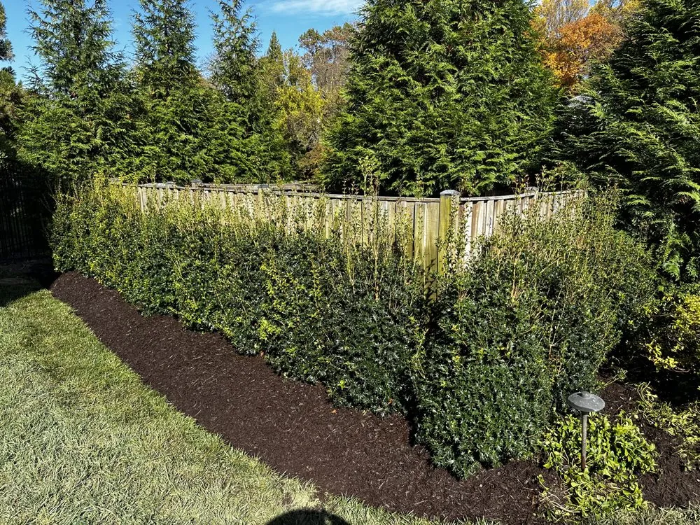 Expert residential landscaping for beautiful yards in Manassas, VA by Nv Landscape and Construction