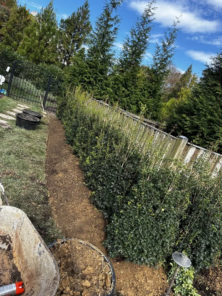 Custom yard cleanup service for year-round maintenance across Manassas, VA - Nv Landscape and Construction