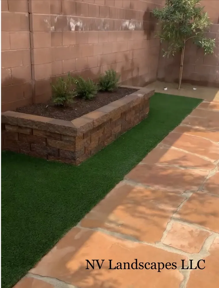 Local yard cleanup service in Las Vegas, NV by NV Landscapes