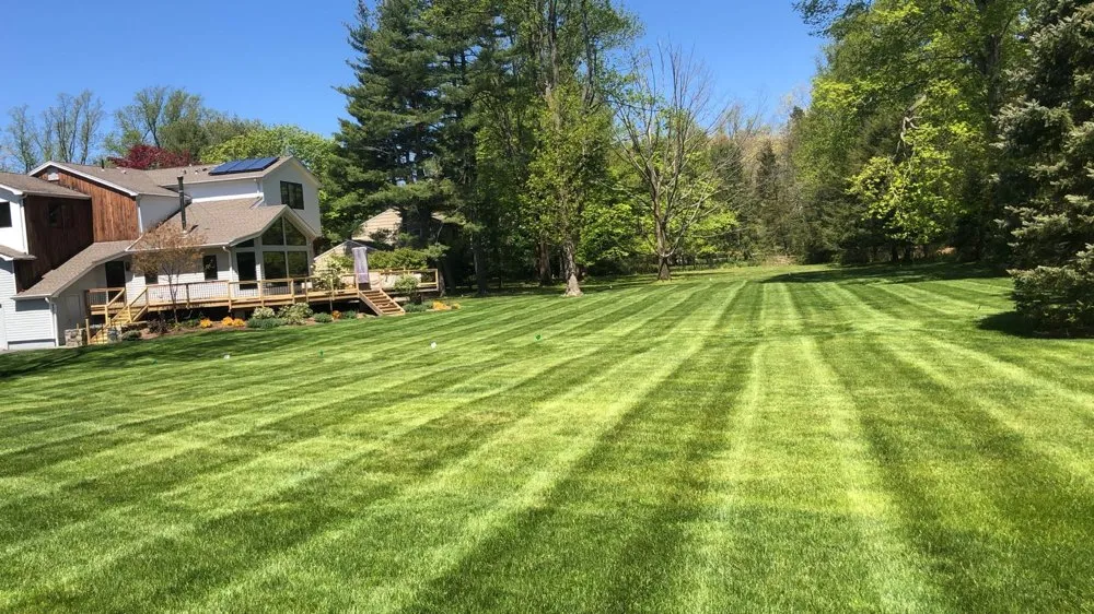 Affordable yard cleanup service in Monroe, CT - NV Landscaping