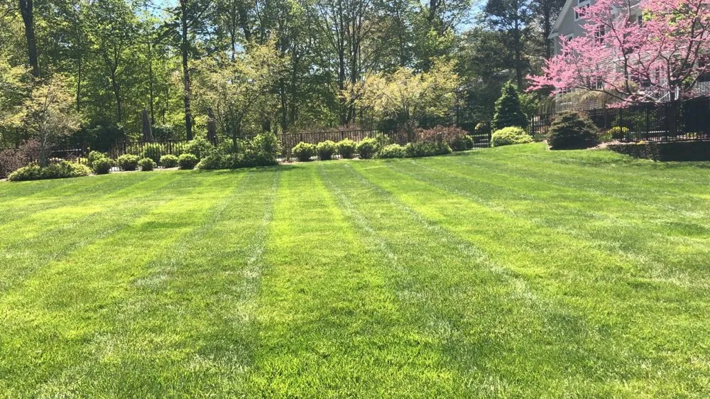 Top-rated yard maintenance experts serving Monroe, CT - NV Landscaping