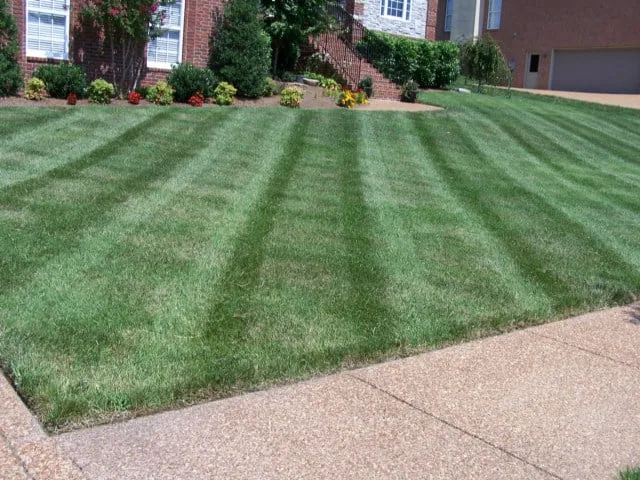 Top-rated lawn care service in Fairfax Station, VA by NV Service Group