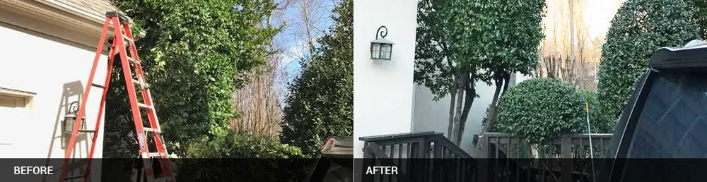 Expert landscape design in Matthews, NC by NVM Lawn & Landscaping