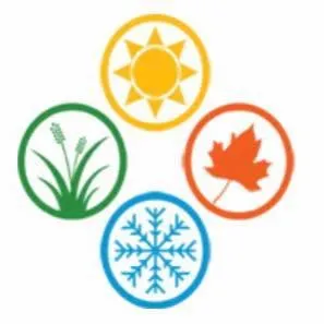 Top-rated lawn care service experts serving Matthews, NC - NVM Lawn & Landscaping