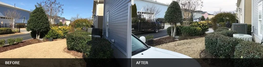 Local lawn care service in Matthews, NC by NVM Lawn & Landscaping