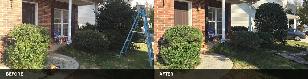 Reliable yard maintenance near you in Matthews, NC by NVM Lawn & Landscaping