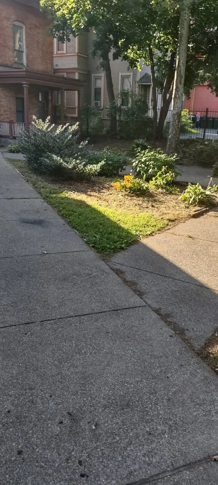 Professional yard cleanup service experts serving Bernhards Bay, NY - N&W