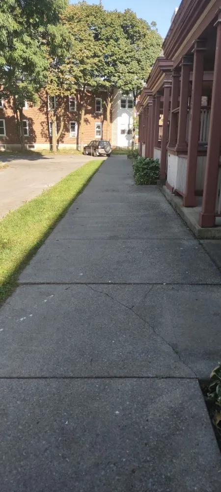 Affordable yard maintenance in Bernhards Bay, NY by N&W