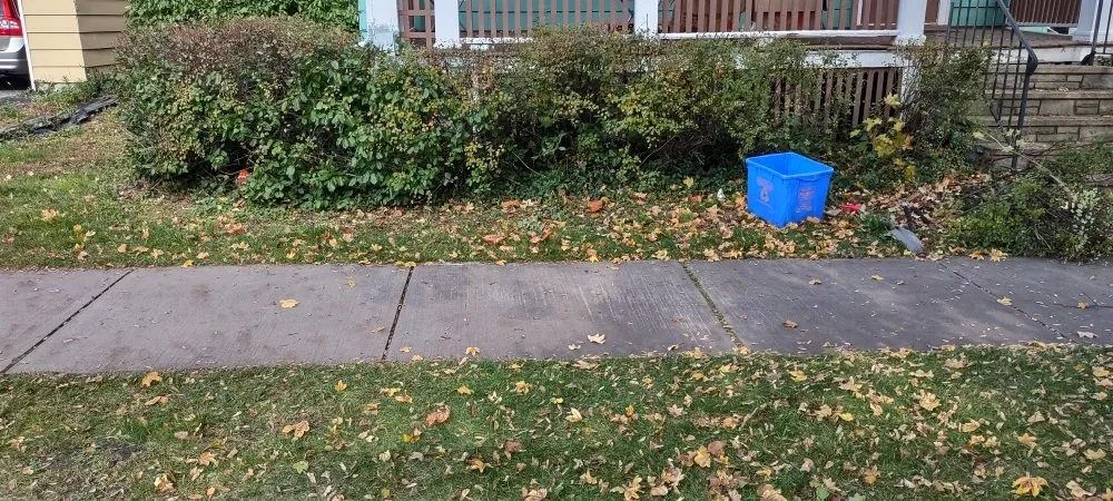 Local yard maintenance for year-round maintenance across Bernhards Bay, NY - N&W