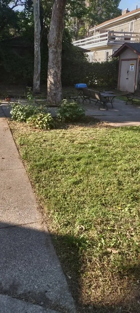 Affordable yard maintenance in Bernhards Bay, NY - N&W