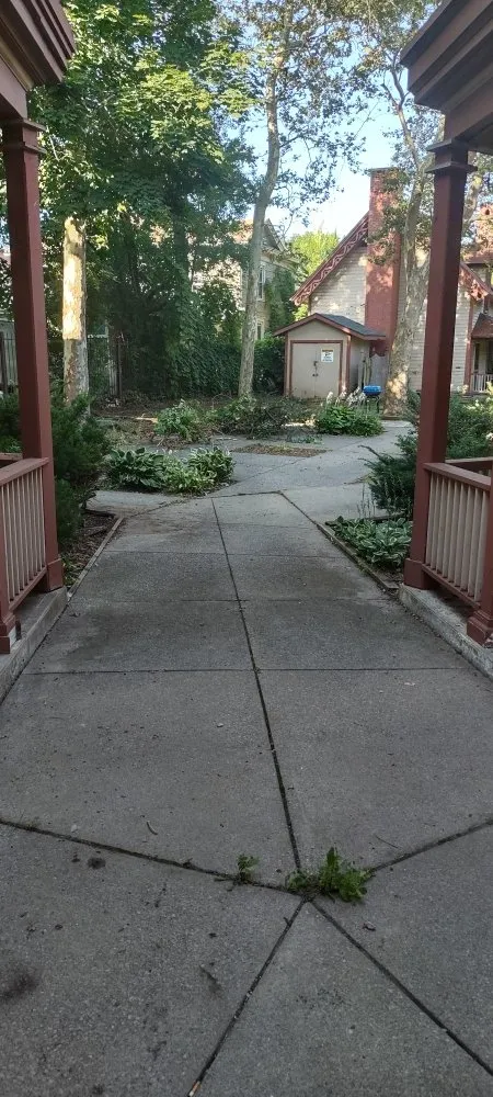 Local yard cleanup service experts serving Bernhards Bay, NY - N&W