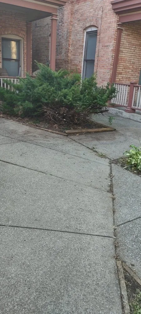 Local yard cleanup service in Bernhards Bay, NY - N&W