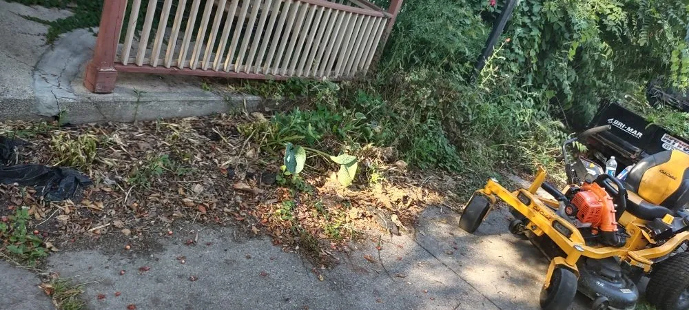 Trusted yard maintenance in Bernhards Bay, NY - N&W