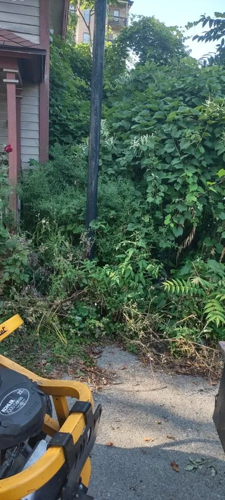 Local lawn mowing service in Bernhards Bay, NY by N&W