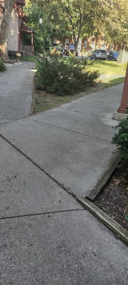 Affordable yard cleanup service experts serving Bernhards Bay, NY - N&W