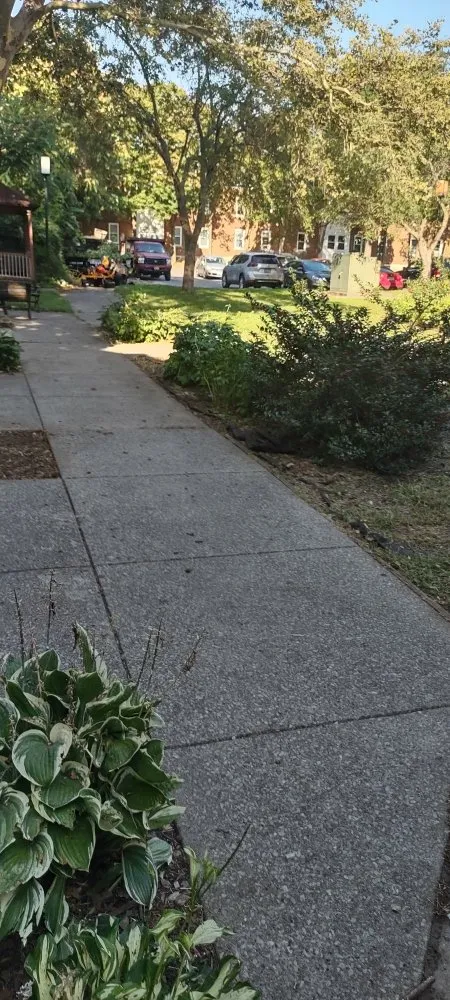 Reliable outdoor landscaping experts serving Bernhards Bay, NY - N&W