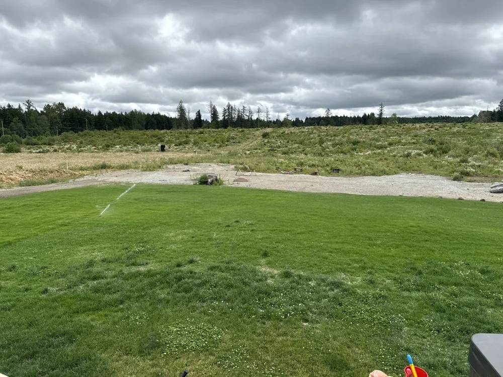 Affordable yard cleanup service in Silverdale, WA - NW Bulldozing & Hydroseeding