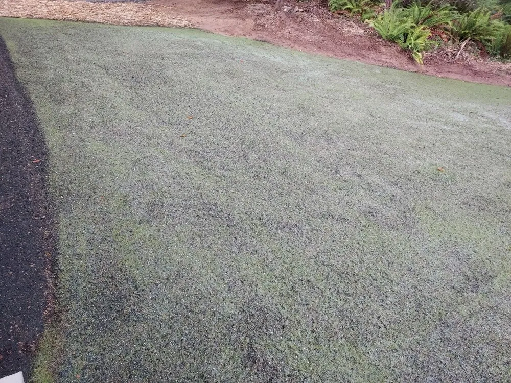 Top-rated residential landscaping in Silverdale, WA by NW Bulldozing & Hydroseeding