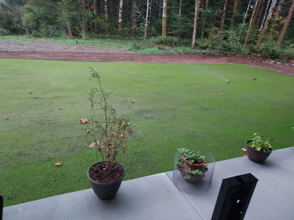 Reliable lawn mowing service near you in Silverdale, WA by NW Bulldozing & Hydroseeding