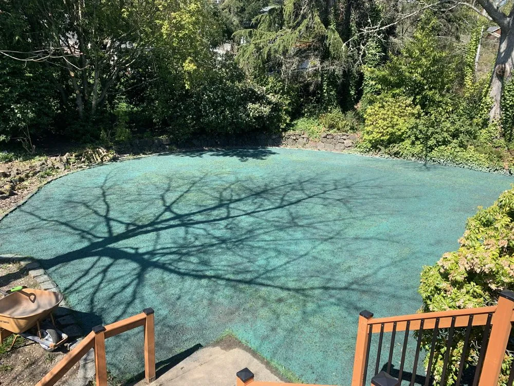 Custom outdoor landscaping with custom design in Silverdale, WA by NW Bulldozing & Hydroseeding