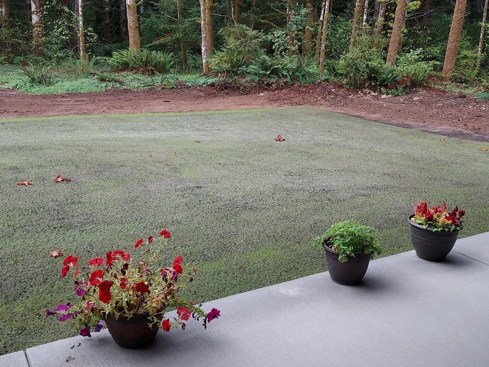 Expert outdoor landscaping experts serving Silverdale, WA - NW Bulldozing & Hydroseeding