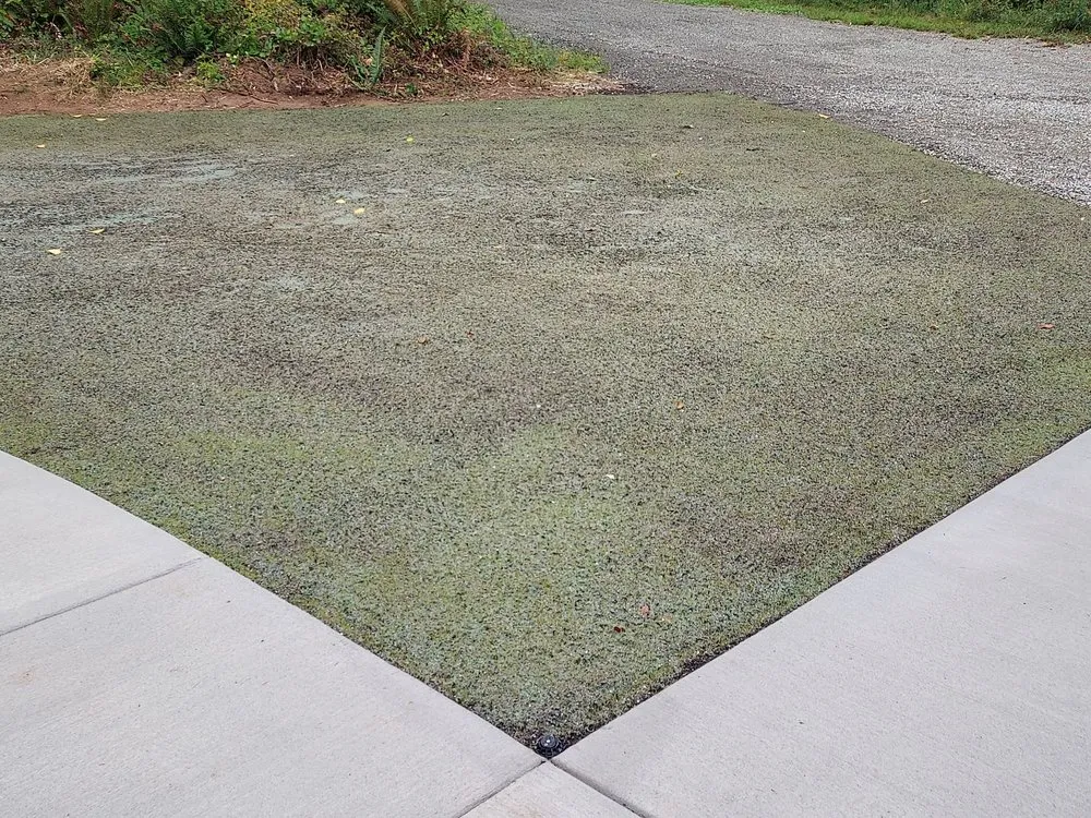 Affordable landscape design experts serving Silverdale, WA - NW Bulldozing & Hydroseeding