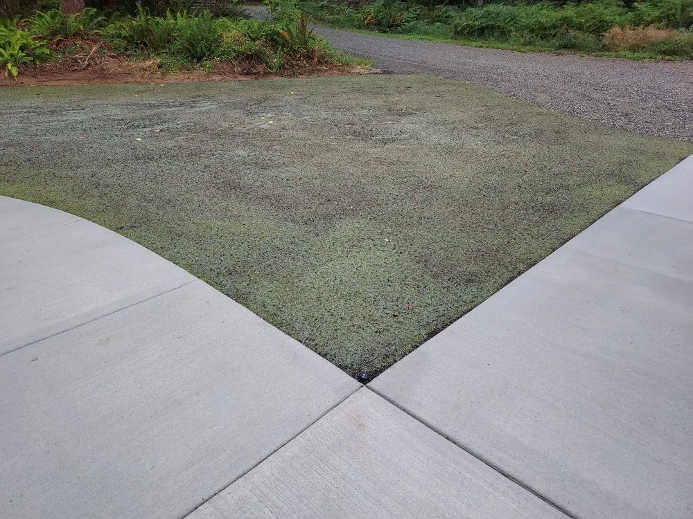 Local lawn mowing service in Silverdale, WA - NW Bulldozing & Hydroseeding