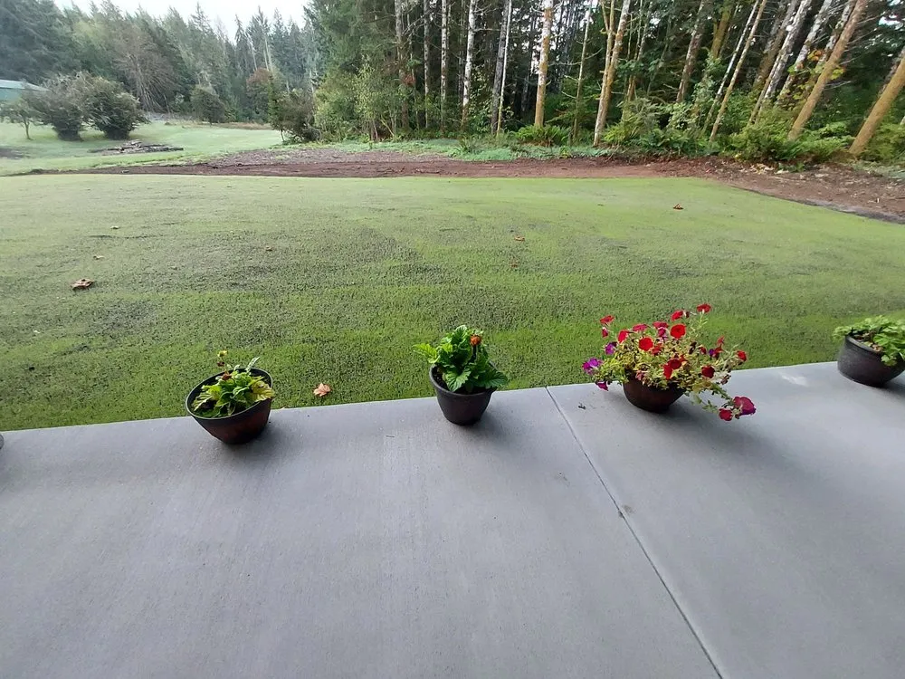 Professional yard maintenance with custom design in Silverdale, WA by NW Bulldozing & Hydroseeding