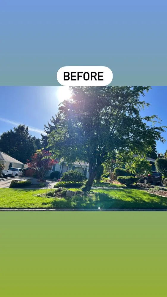 Top-rated lawn mowing service for residential properties across Seattle, WA - NW Compadres Landscaping