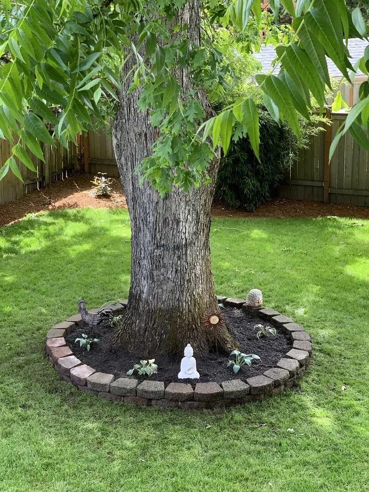 Affordable yard cleanup service for residential properties across Aurora, OR - NW Evergreen Landscape