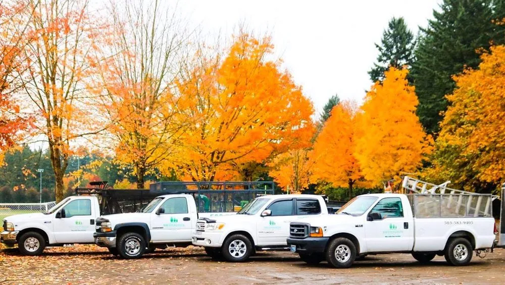 Affordable yard cleanup service in Aurora, OR by NW Evergreen Landscape