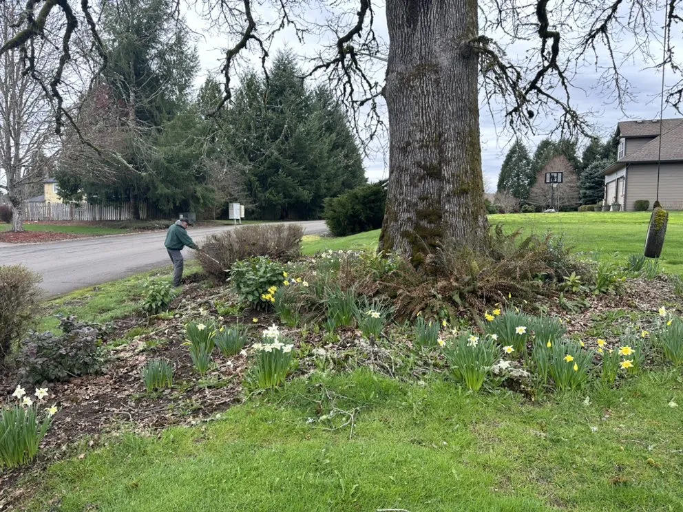 Top-rated yard cleanup service in Vancouver, WA - NW Exterior Service & Maintenance