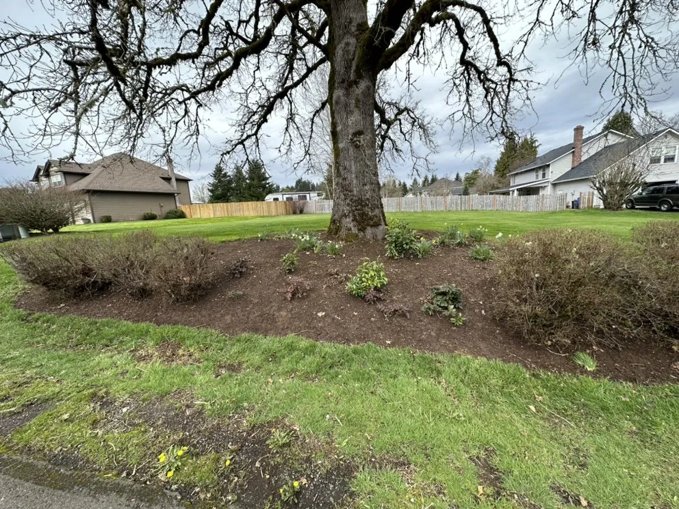 Trusted landscaping services in Vancouver, WA - NW Exterior Service & Maintenance
