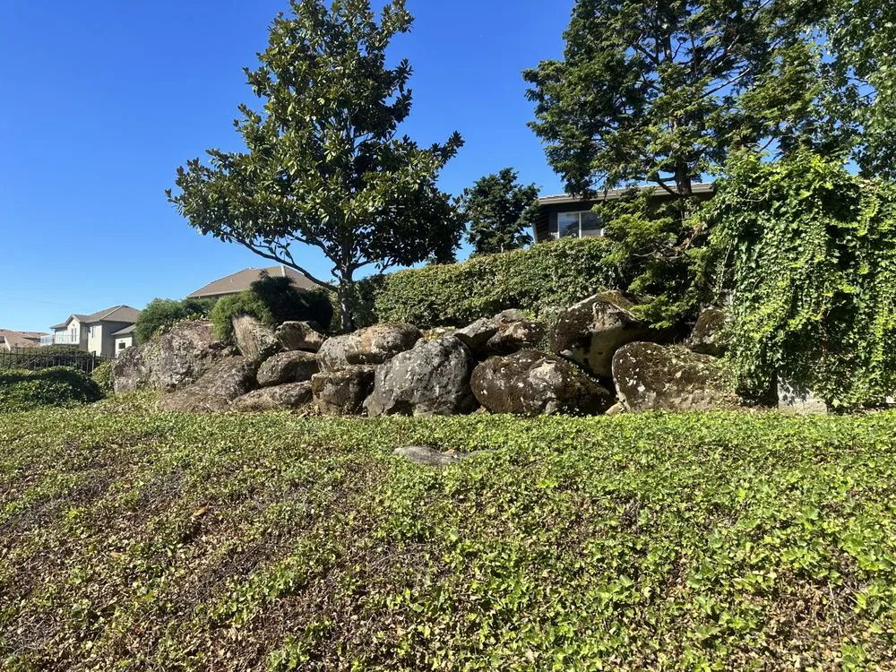 Top-rated yard cleanup service experts serving Vancouver, WA - NW Exterior Service & Maintenance