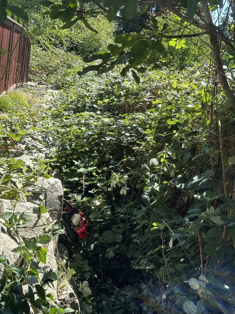 Local landscape installation with custom design across Vancouver, WA - NW Exterior Service & Maintenance