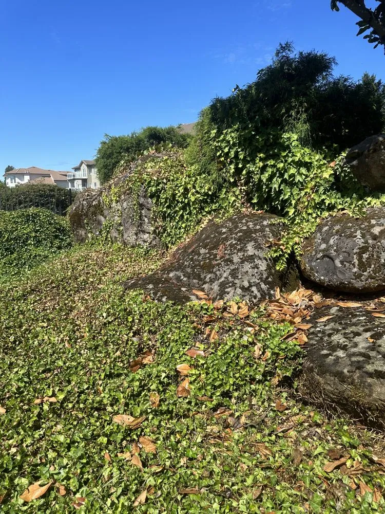 Affordable landscape design in Vancouver, WA - NW Exterior Service & Maintenance