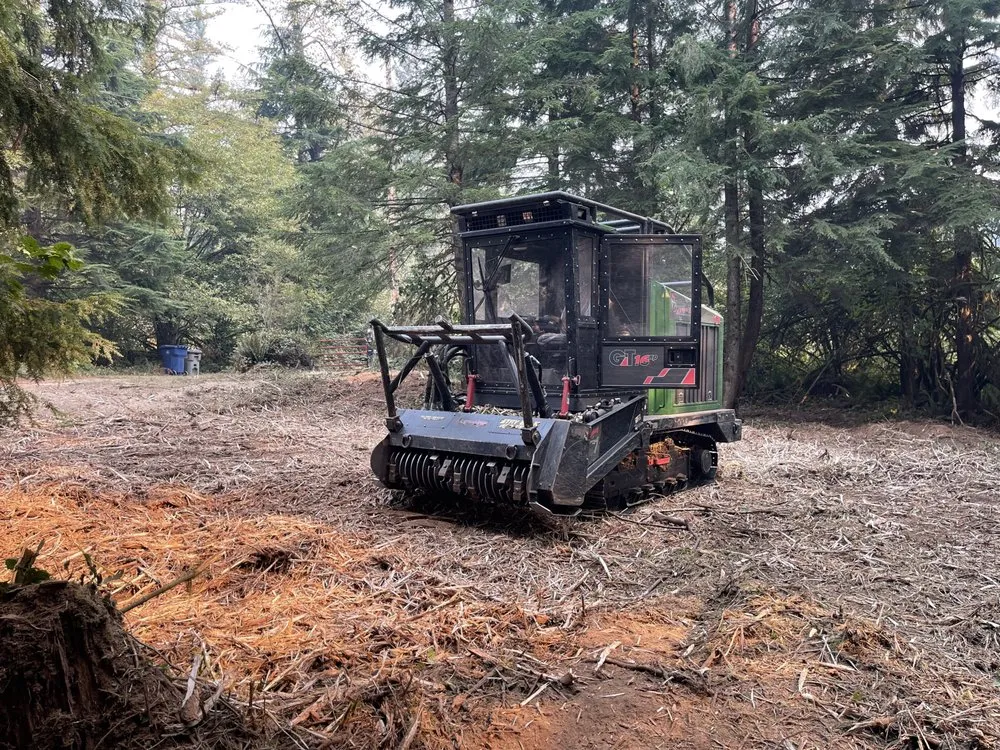 Custom landscape design for outdoor upgrades across Tumwater, WA - NW Green Clearing