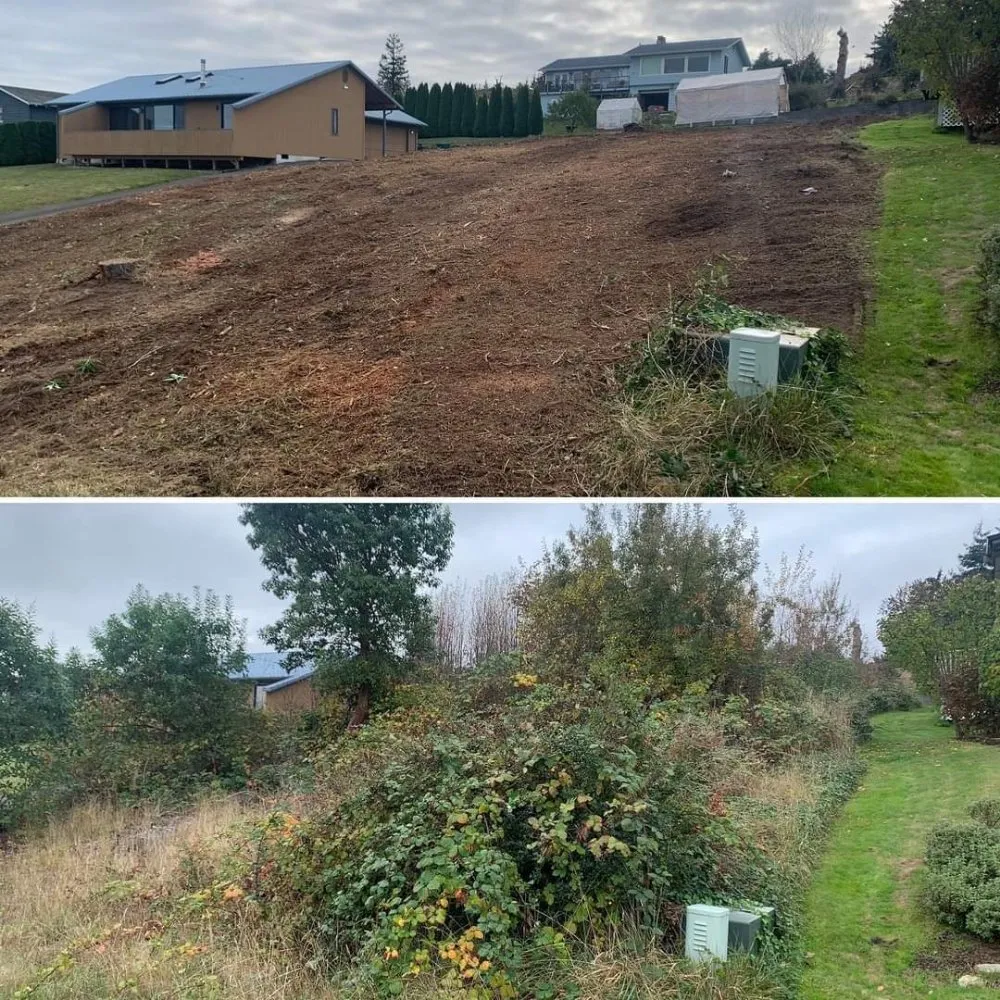 Trusted outdoor landscaping in Tumwater, WA by NW Green Clearing