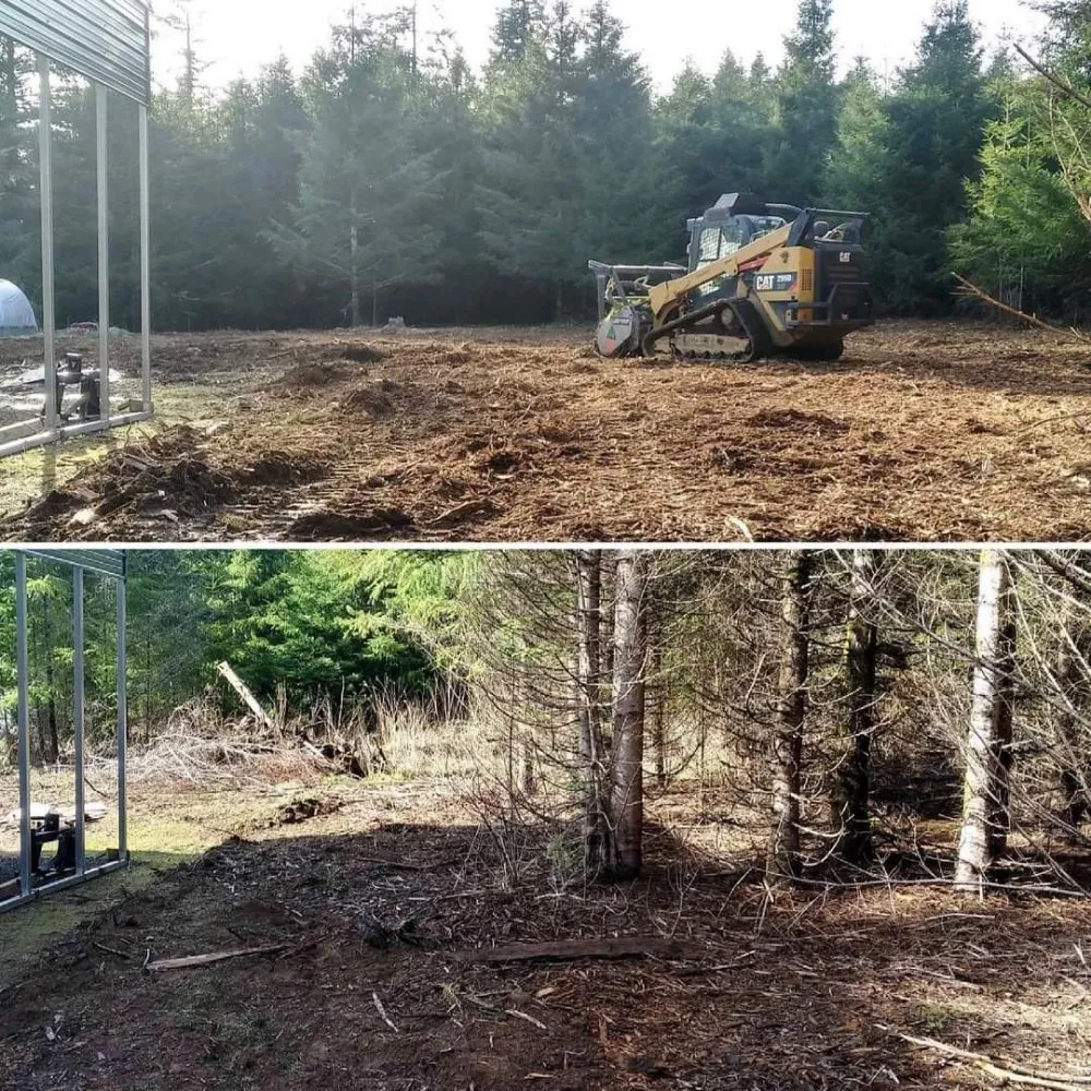 Professional outdoor landscaping in Tumwater, WA - NW Green Clearing